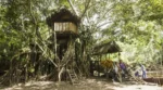 Reserva Ecológica Tingana - Imagen 3