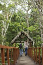 Reserva Santa Elena y Cuevas de Palestina - Imagen 3
